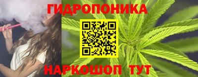 гидра Краснокаменск