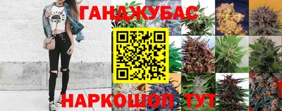 гидра Краснокаменск