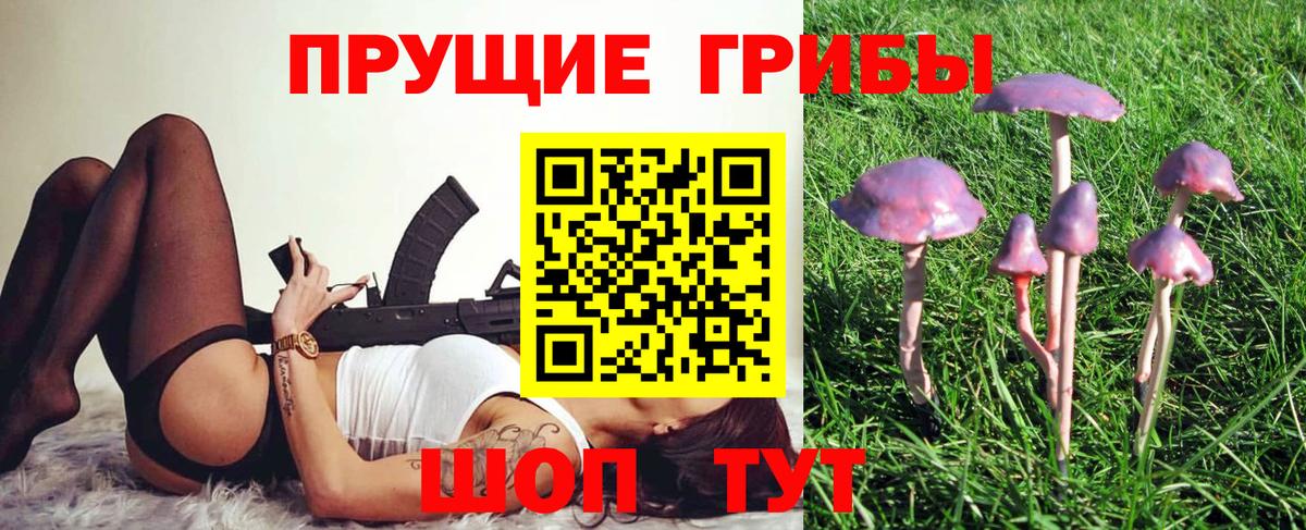 Галлюциногенные грибы Cubensis Клин