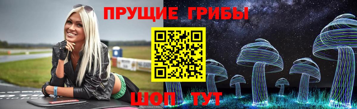 Псилоцибиновые грибы Psilocybine cubensis  Вход с VPN  Клин 